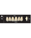 YM. NEW ACE ANTERIOR - AKRYLOWE ZĘBY SZTUCZNE - C1-T3