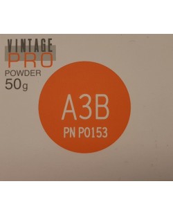 P0153 VINTAGE PRO BODY A3B 50G