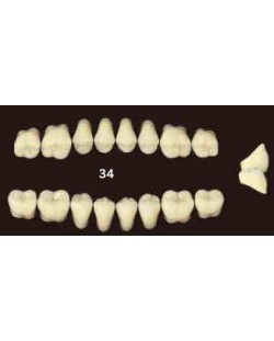 YM. EFUCERA POSTERIOR -...